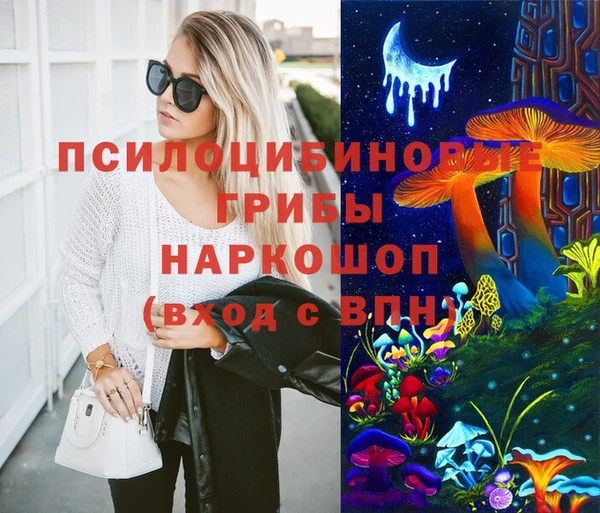 мяу мяу мука Новодвинск
