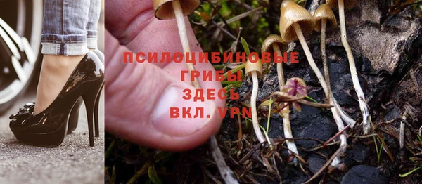 мяу мяу кристалл Новокубанск