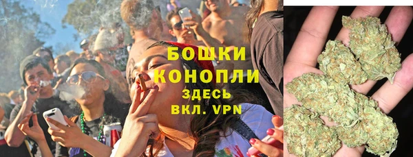 мяу мяу мука Новодвинск