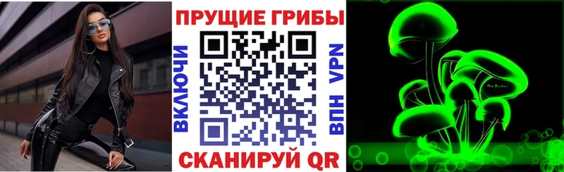 Псилоцибиновые грибы Magic Shrooms  Курчатов 