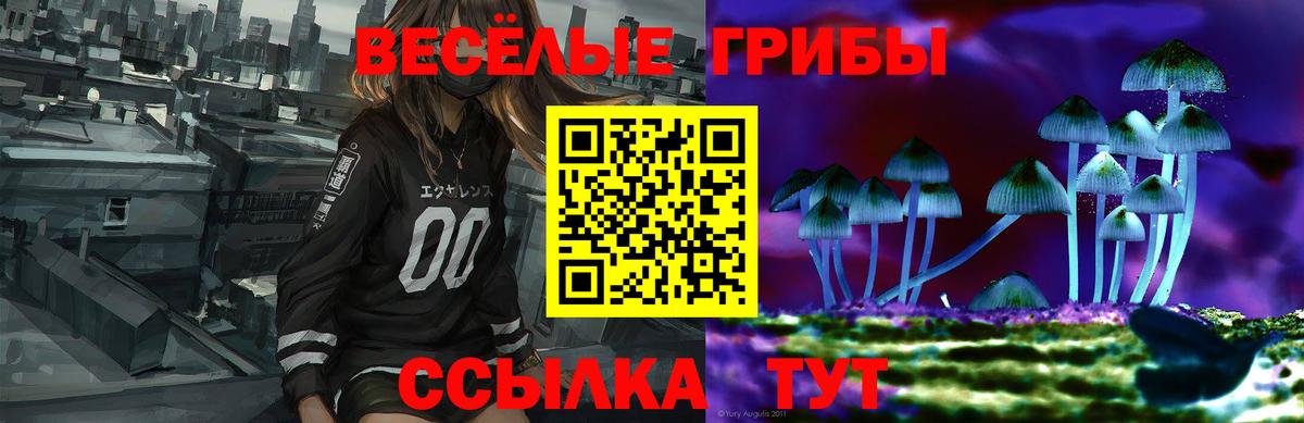 Галлюциногенные грибы ЛСД  Вход с VPN  Псилоцибиновые грибы GOLDEN TEACHER  Курчатов 
