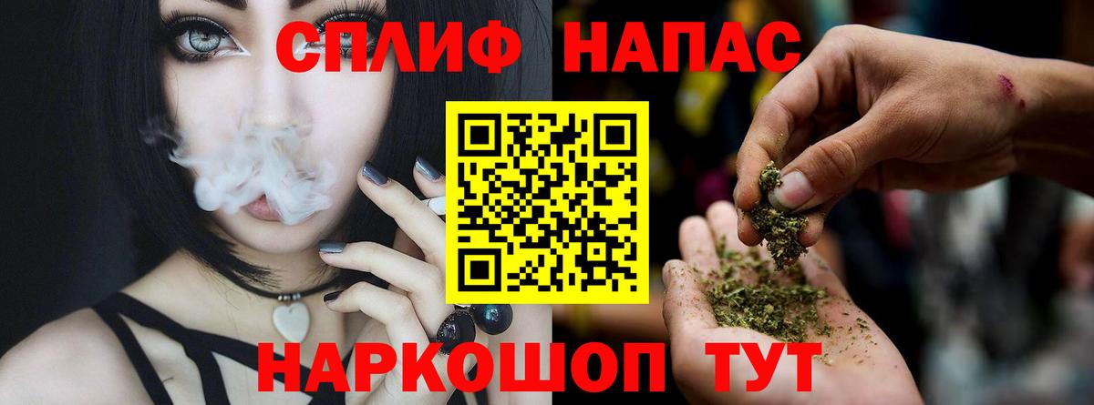 Каннабис OG Kush Курчатов